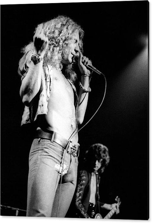 Robert Plant And Led Zeppelin Acrylic Print 31 x 40