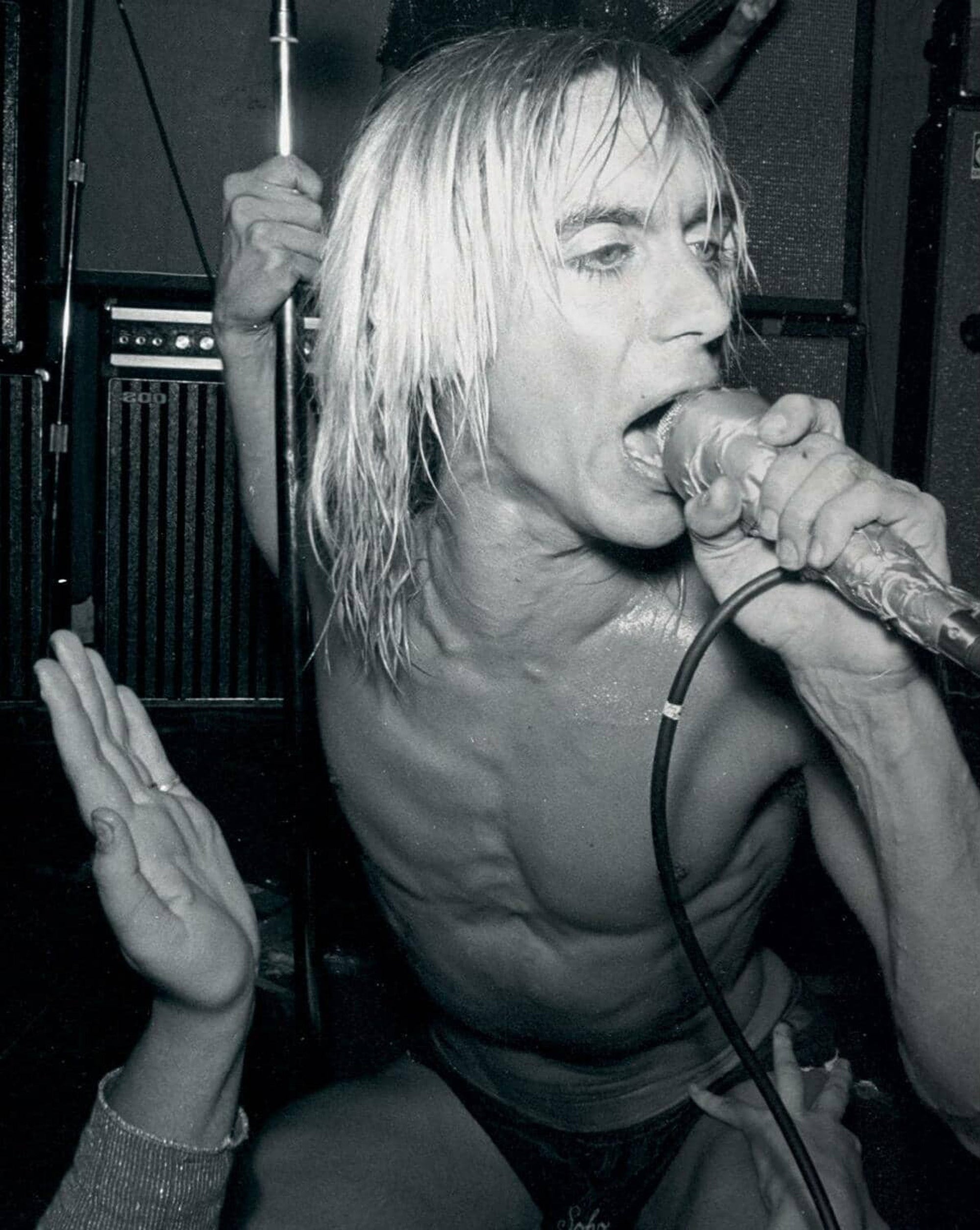 Iggy Pop Framed Photography - Encore Art Gallery