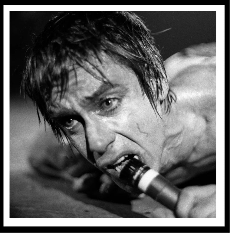 Iggy Pop performs live on stage in New York in 1977 35 X 35